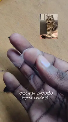 නිකන් ඉද්දි කරලා බලන්න ආතල් වැඩේ 😂#fry #froyoupage #virl #frypgシ #sajiya_art_gallery 