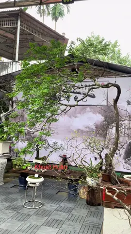 Một trong tp muội Hồng bay lắc rất nghệ thuật #muộihồng #xuhuongtiktok 