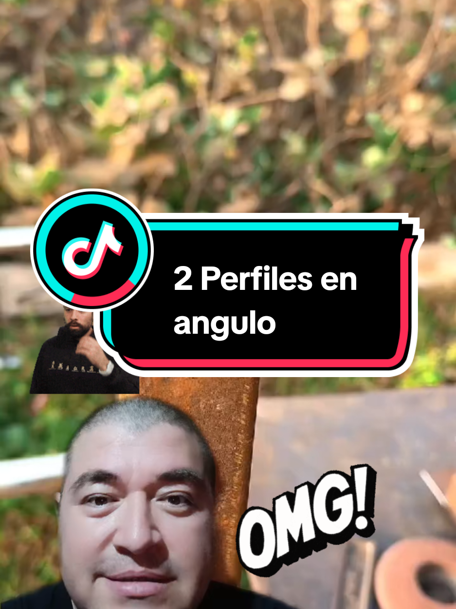 #2 Perfiles en angulo