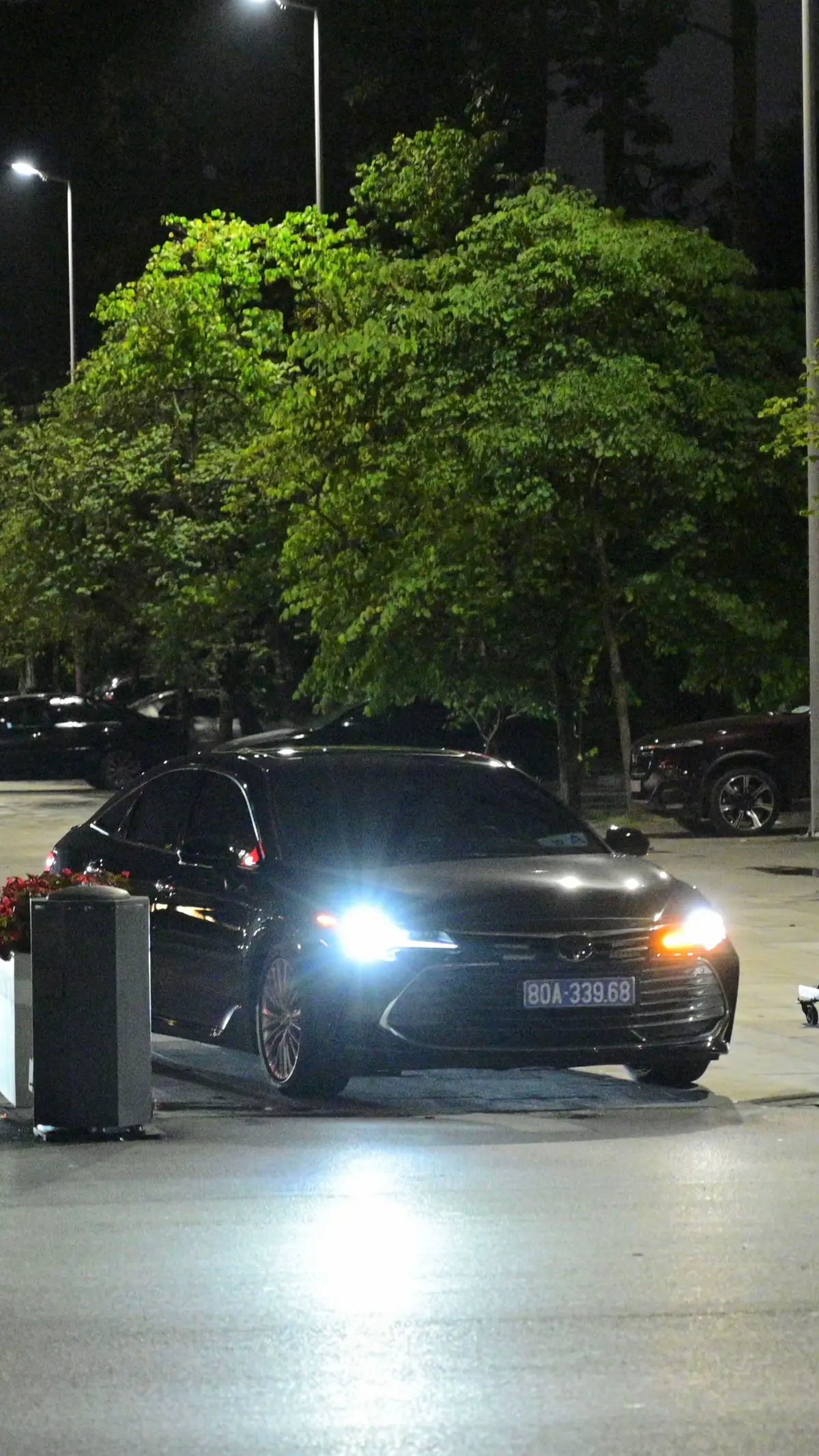 #80A #avalon #quandoi 