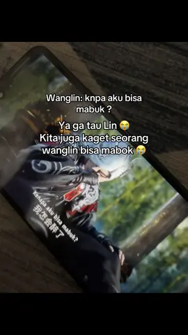 #renegadeimmortal #wanglin #donghua 