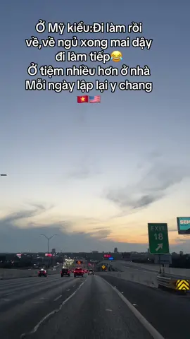 Đa số ai cũng giống vậy,lâu lâu thấy chán đời muốn về Việt Nam đồ đó🤣🇻🇳🇺🇸#fyppppppppppppppppppppppp #fypシ #foryourpage #cuocsongmy #viral 