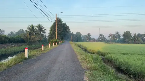 Bình Chánh sáng chill nè anh em 🥰🤭✌️ #nhạcchillcảnhđẹp #chill #bìnhchánh #xuhuongtiktok #fyp 