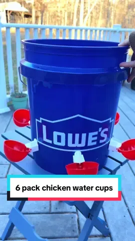 Say goodbye to messy water spills and soggy bedding! These 6 heavy-duty water cups keep chicken areas bone-dry with their angled spout design. It is very simple to put together and the ergonomic feed-through function allows continuous water access without repeated dips. The cups can be attached to any large bucket or a piece of long pvc. The package includes 6 packs of chicken water cups, an individual drill bit, and nuts for immediate setup. #chicken #chickencoop #pollo #rooster #homestead