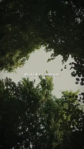 Blicke die treffen uns.... #albozz #💭 #song #fy #foruyou 