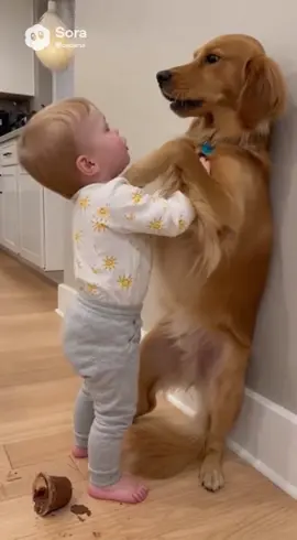 Bad dog my pudding #funnyvideos #viral🖤tiktok #Ai #ttshortclips #ttshortclips 