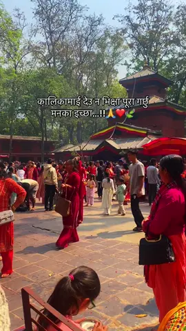 कालिकामाई देउ न भिक्षा पूरा गर्छु मनका इच्छा।#foryoupage #goviralvideo #tanding_song #