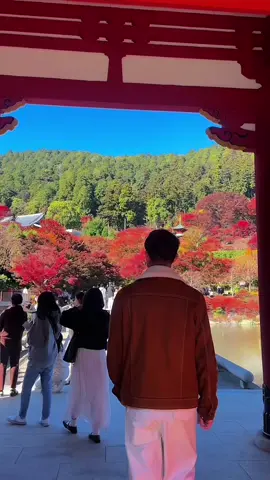 Tuyệt đỉnh tiên cảnh chốn trần gian , chùa Katsuoji osaka #cuocsongnhatban #dulichnhatban🇯🇵 #ladonhatban #xuhuongtiktok #katsuojitemple⛩ 