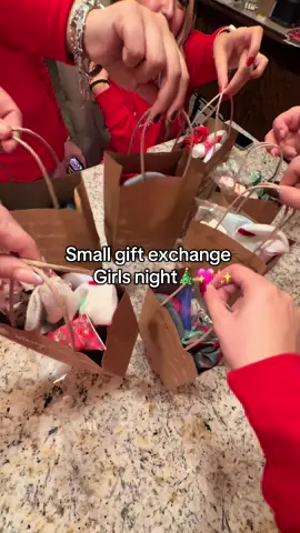 It’s timeeeeeeee🗣️🎄🎅🏻 #fyp #christmas #navidad #giftexchange #girlsnight 