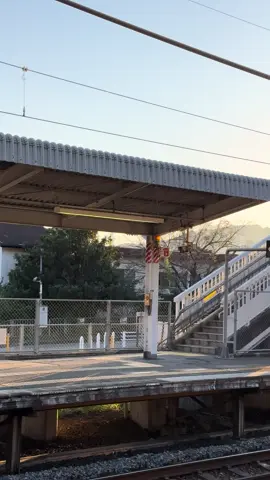 Seperti biasa  #kenshuseijapan🇮🇩🇯🇵🎌 #kenshuuseijapan🇮🇩🇯🇵 #japanvibes #japan #fyp 