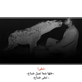 #تصميم_فيديوهات🎶🎤🎬 #قدرو_التعب🎥❤🔥 #يصعد_الفيديو #ستوريات 