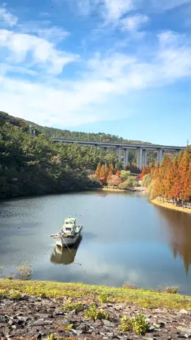 Mùa thu ở Busan 🍁🍂 #가을 #busan #용소웰빙공원 #viral 