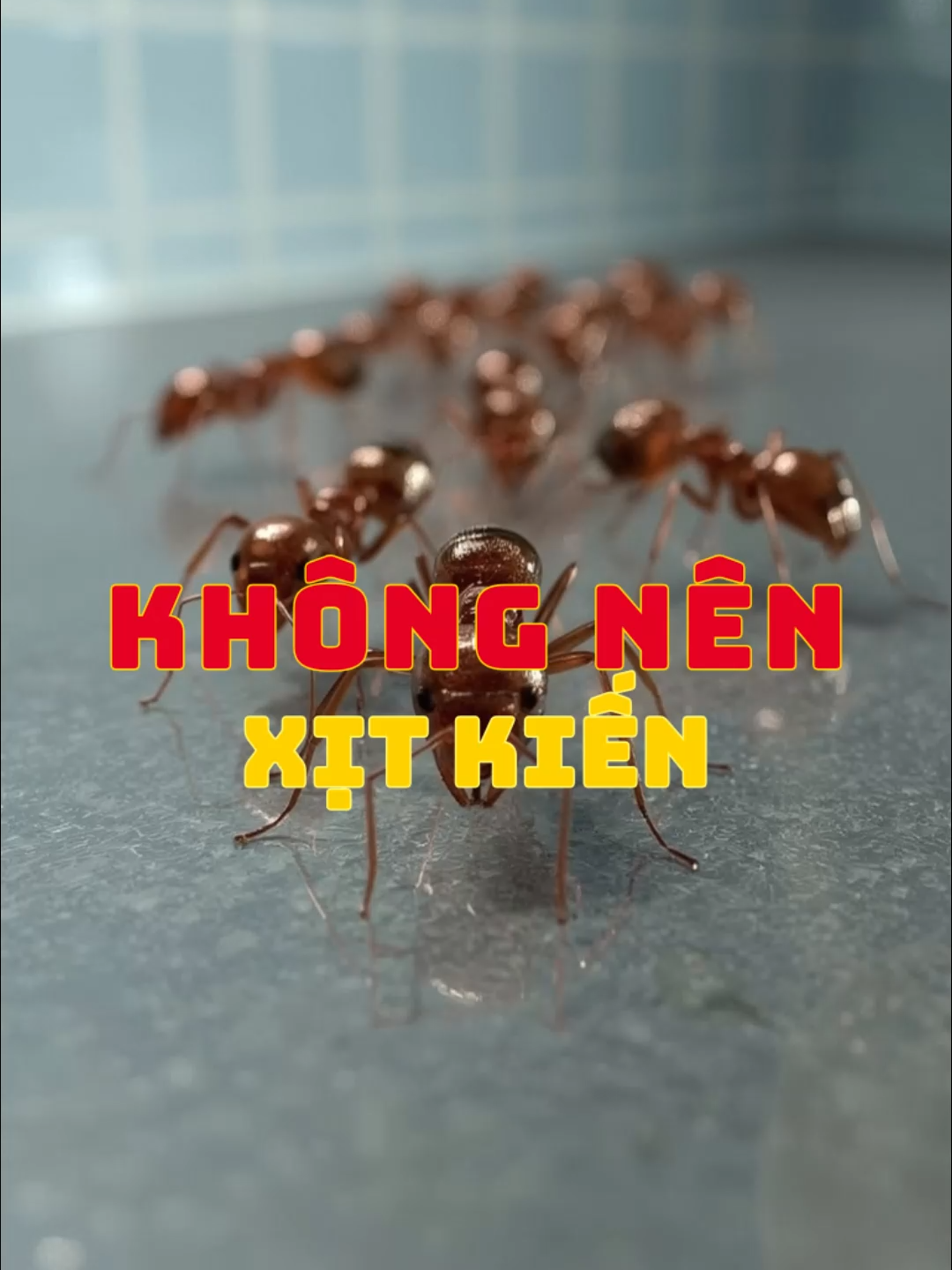 Vì Sao Bạn Không Nên Dùng Thuốc Xịt Kiến? #suthatkhoahoc #viral