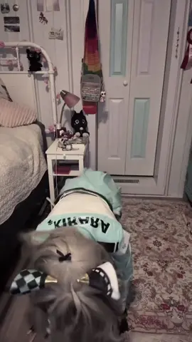 Was this a repost? Maybe 😭#kiraragenshin #kirara #GenshinImpact #cosplay #genshinimpactcosplay 