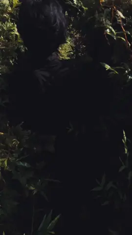 surga tersembunyi di pedalaman Kalimantan Barat