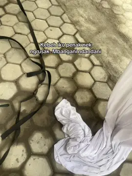 #tendajogja #dekorasijogja #fyp 