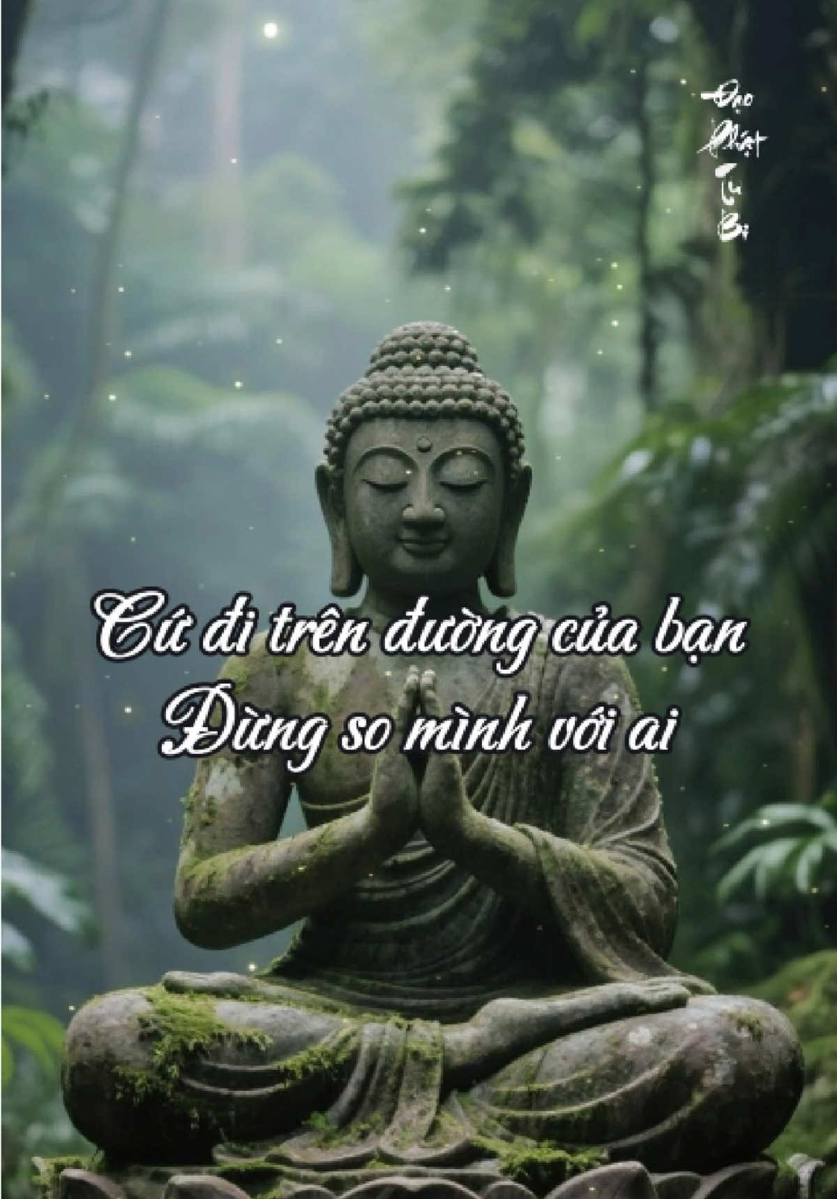 Cuộc Đời Không Đến Để Làm Vừa Ý Chúng Ta. #phatphap #nhanqua #buongbo #tinhthuc #phatphapnhiemmau