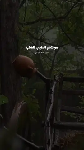 طيب القلب...💛 . . . . #الشيخ_حازم_الباوي #quotes #allah #الله #تصاميم_فيديوهات🎵🎤🎬 