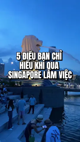 5 điều bạn chỉ hiểu khi qua Singapore làm việc là gì ? #vieclamsingapore #xuhuong #newlife #viral #xkldsingapore 