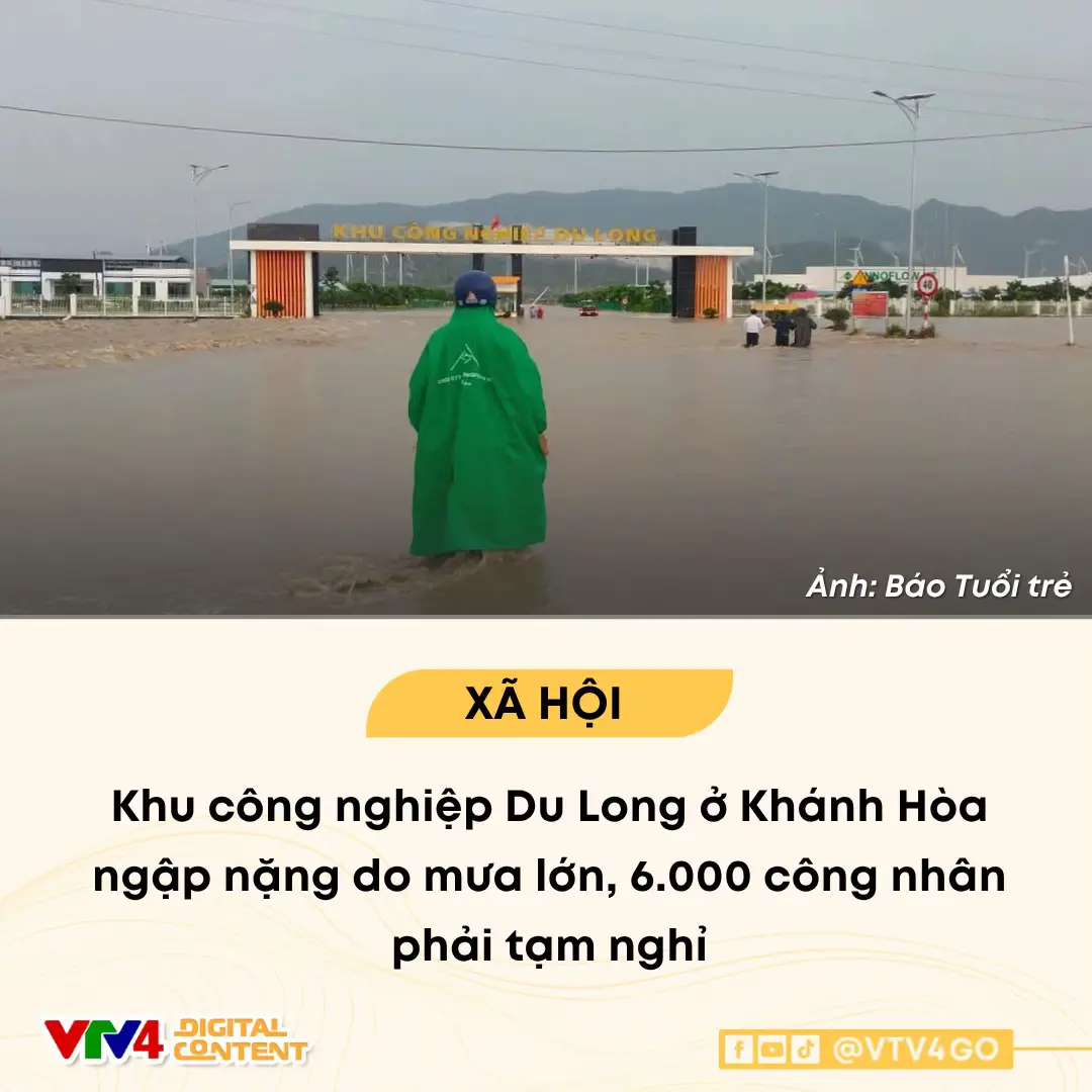 Sáng 17-11, mưa lớn liên tục nhiều giờ khiến nhiều tuyến đường tại khu công nghiệp Du Long ở xã Thuận Bắc (tỉnh Khánh Hòa) chìm trong biển nước. Tình trạng ngập nặng buộc hàng loạt doanh nghiệp phải tạm ngưng hoạt động. Khoảng 6.000 công nhân phải nghỉ việc đột xuất. Theo ghi nhận, nước bắt đầu đổ về và dâng lên nhanh từ rạng sáng 17-11, có đoạn ngập 0,8 - 1m. Lượng nước chảy xiết và tràn về gây ngập nặng ngay lối vào Khu công nghiệp Du Long. Nước dâng lên nhanh, tràn qua cả quốc lộ 1 đoạn đối diện với khu công nghiệp này. Do tình trạng ngập lan qua quốc lộ 1 nên lực lượng Cảnh sát giao thông Công an tỉnh Khánh Hòa đang phải điều tiết các phương tiện giao thông đoạn qua khu công nghiệp để đảm bảo an toàn. Chính quyền địa phương và lực lượng chức năng cũng đang phối hợp với Ban quản lý Khu công nghiệp Du Long để chốt chặn các điểm xung yếu, mở các hướng tiêu để giảm ngập. Tuy nhiên, do mưa lớn kéo dài kết hợp nước từ khu vực thượng nguồn đổ về, việc xử lý gặp nhiều khó khăn. #vtv #vtv4 #tiktoknews #baolu 