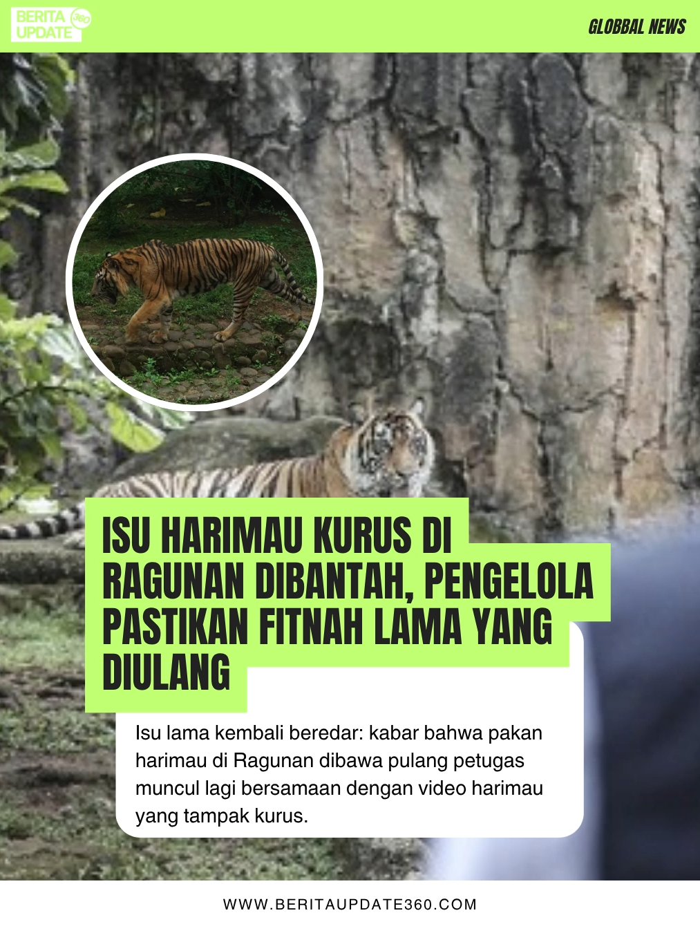 Isu lama kembali beredar: kabar bahwa pakan harimau di Ragunan dibawa pulang petugas muncul lagi bersamaan dengan video harimau yang tampak kurus. Namun, pihak Taman Margasatwa Ragunan menegaskan bahwa kabar itu tidak benar dan merupakan fitnah yang diulang. 📌 Baca selengkapnya disini : beritaupdate360.com #fyp #foryou #viral #isu #harimau #ragunan #ragunanzoo #fitnah #hoaks #gubernurjakarta #pramonoanung #jakarta #trending