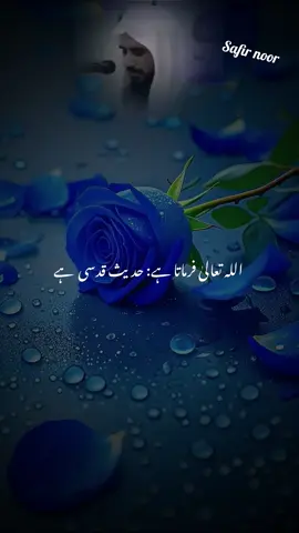 #ہ حدیث ان حدیثوں میں سے ایک ہے، جن کو اللہ کے رسول صلی اللہ علیہ و سلم نے اپنے پاک پروردگار سے روایت کیا ہے۔ اس طرح کی حدیث کو حدیث قدسی یا حدیث الہی کہا جاتا ہے۔ اس سے مراد وہ حدیث ہے، جس کے لفظ اور معنی دونوں اللہ کے ہوں۔ البتہ اس کے اندر قرآن کی خصوصیات، جیسے اس کی تلاوت کا عبادت ہونا، اس کے لیے طہارت حاصل کرنا اور اس کا معجزہ ہونا وغیرہ نہیں پائی جاتیں۔  انسان کو جو بھی علم اور رہنمائی ملتی ہے، وہ اللہ کی جانب سے ملتی ہے۔  انسان کو جو بھلائی ملتی ہے، وہ اللہ کے فضل و کرم سے ملتی ہے اور جو برائی ملتی ہے، وہ اس کے نفس کی جانب سے ہوتی ہے۔  جس نے اچھا کام کیا، اس نے اللہ کی توفیق سے کیا اور اس کی جزا دراصل اللہ کا فضل و کرم ہے، اس لیے ساری تعریف اللہ کے لیے ہے۔ اس کے برخلاف جس نے برا کام کیا، وہ صرف اپنے نفس کو کوسے۔ #ابوذر غفاری رضی اللہ عنہ اللہ کے نبی صلی اللہ علیہ و سلم سے روایت کرتے ہوئے کہتے ہيں کہ اللہ تعالی نے فرمایا : 
