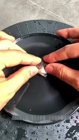 This Is How Siamese Fighting Fish Are Bred! The first image is representative.  #fish #fishing #fishtok #fishingtiktoks 