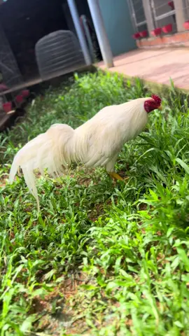 Va vào đây 😎#c1 #c2 #c3 #tamdongnai01 #xuhuong2024tiktok❤️🌈✔️🤟🤟🤟story 