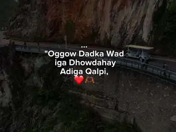 ❤️‍🔥🥹🌷