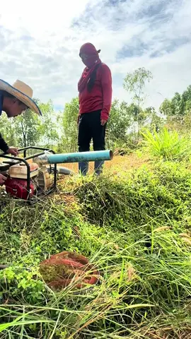 ไปดังไฟถ้าโลดเฒ่า ได้กินแท้ปิ้งปลามื้อนิ #คลิปตลก #fannyreels #fannyvideos