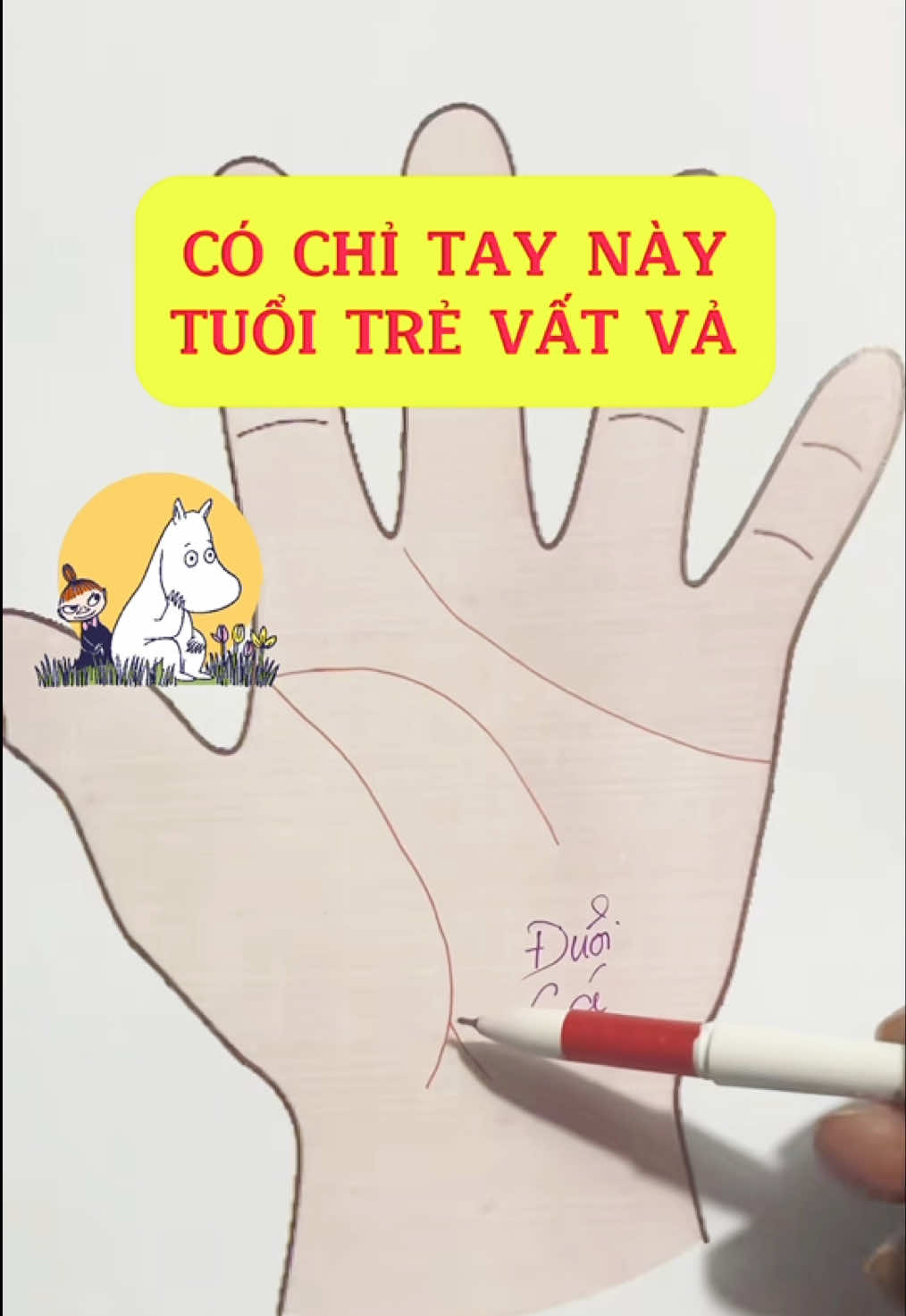 🔎 XEM CHỈ TAY BIẾT NGAY CUỘC ĐỜI. #xemchitay #tuvi #chitaytuongso #new #viral 