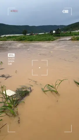 Dân hết 💵💵 luôn rồi 😢