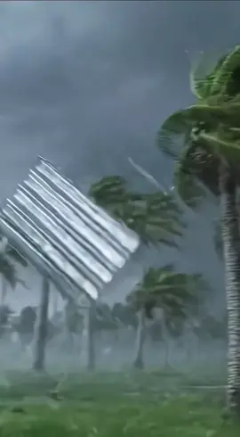 tôn cắt đứt cây dừa #tonxoandutcaydua #toncatdutcaydua #caydua #reoilare 