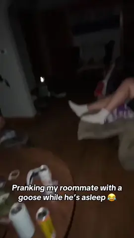 Goose cuddling 😂 @Barstool Outdoors (via:@Alexa) 