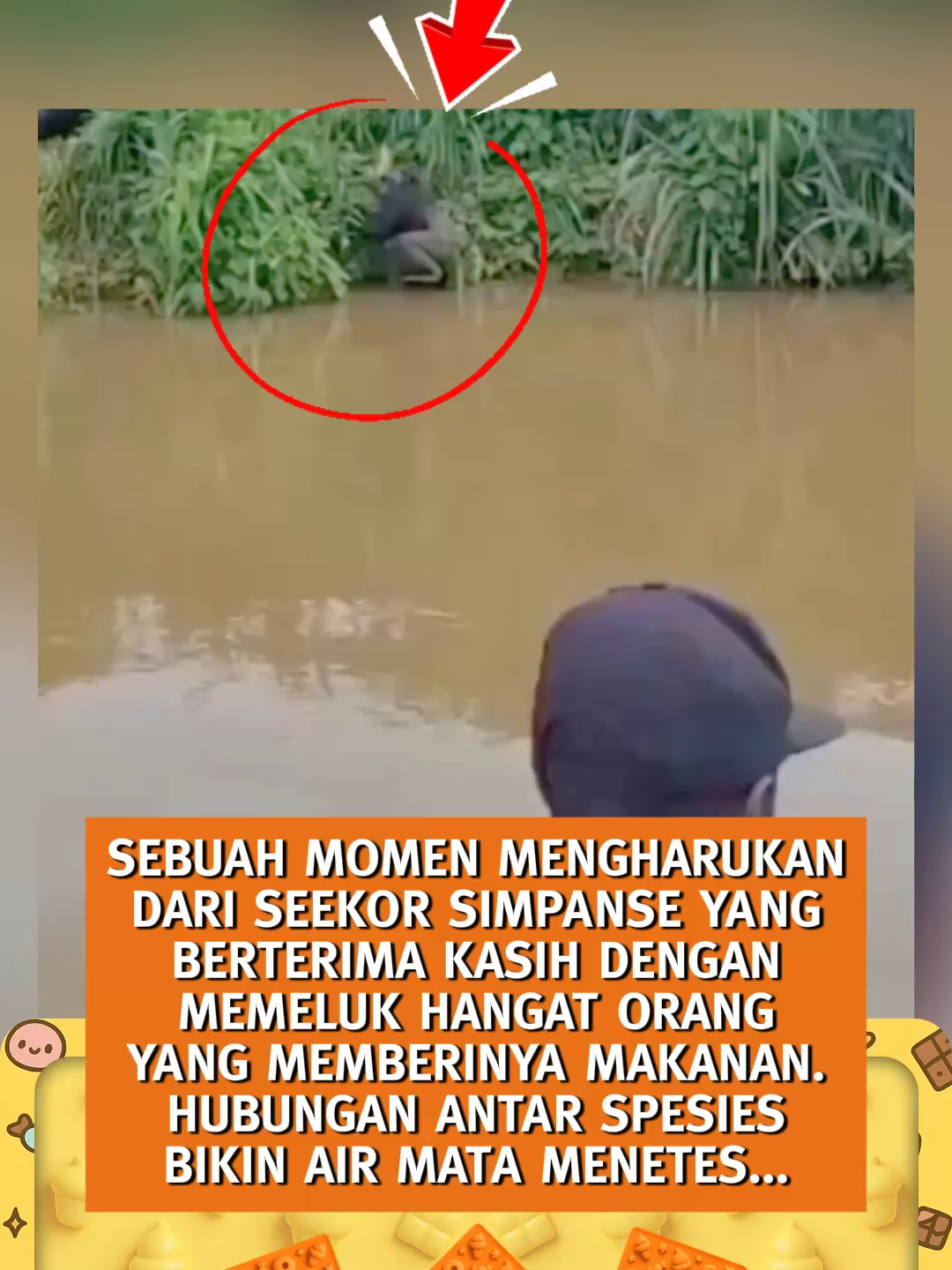 Sebuah kehangatan dari hubungan antar spesies ini sungguh mmenenangkan hati - SpeedCash sc: diluarnallar #berita #info #fyp #ForYou #speedcash