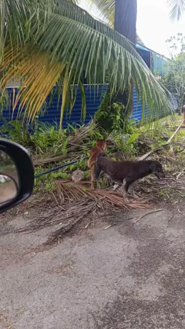 berpikir secara logika... ayo2... 