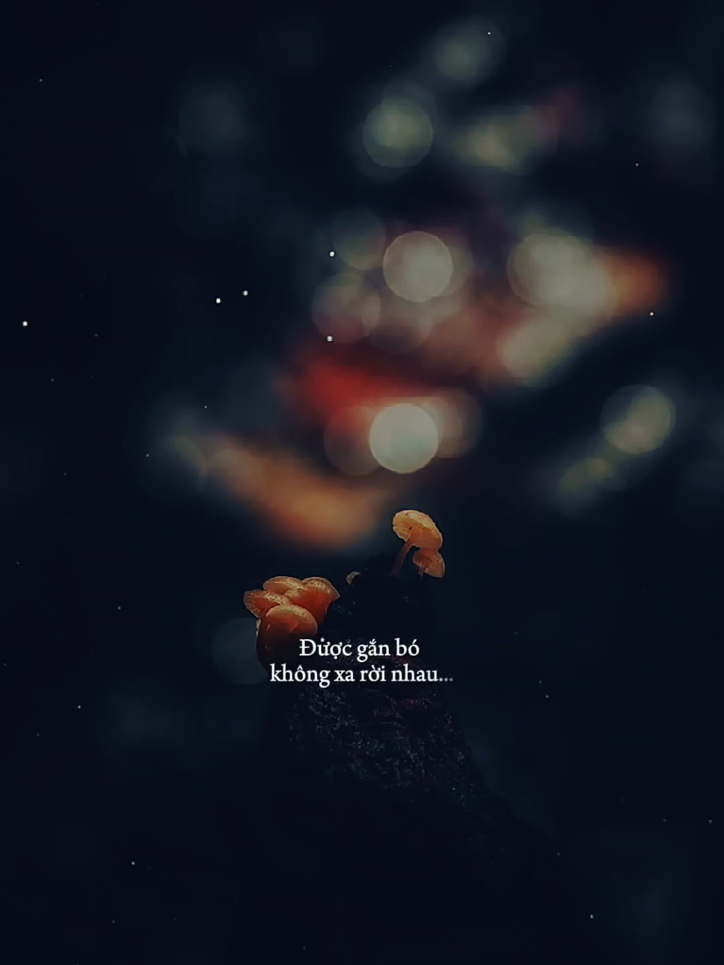 Nguyện cầu đến 50 năm về sau... Được gắn bó không xa rời nhau... [ 50 Năm Về Sau Al ] #50namvesau #nhacbuontamtrang #tramcamxuc💔 #maucapcut #phonhac 