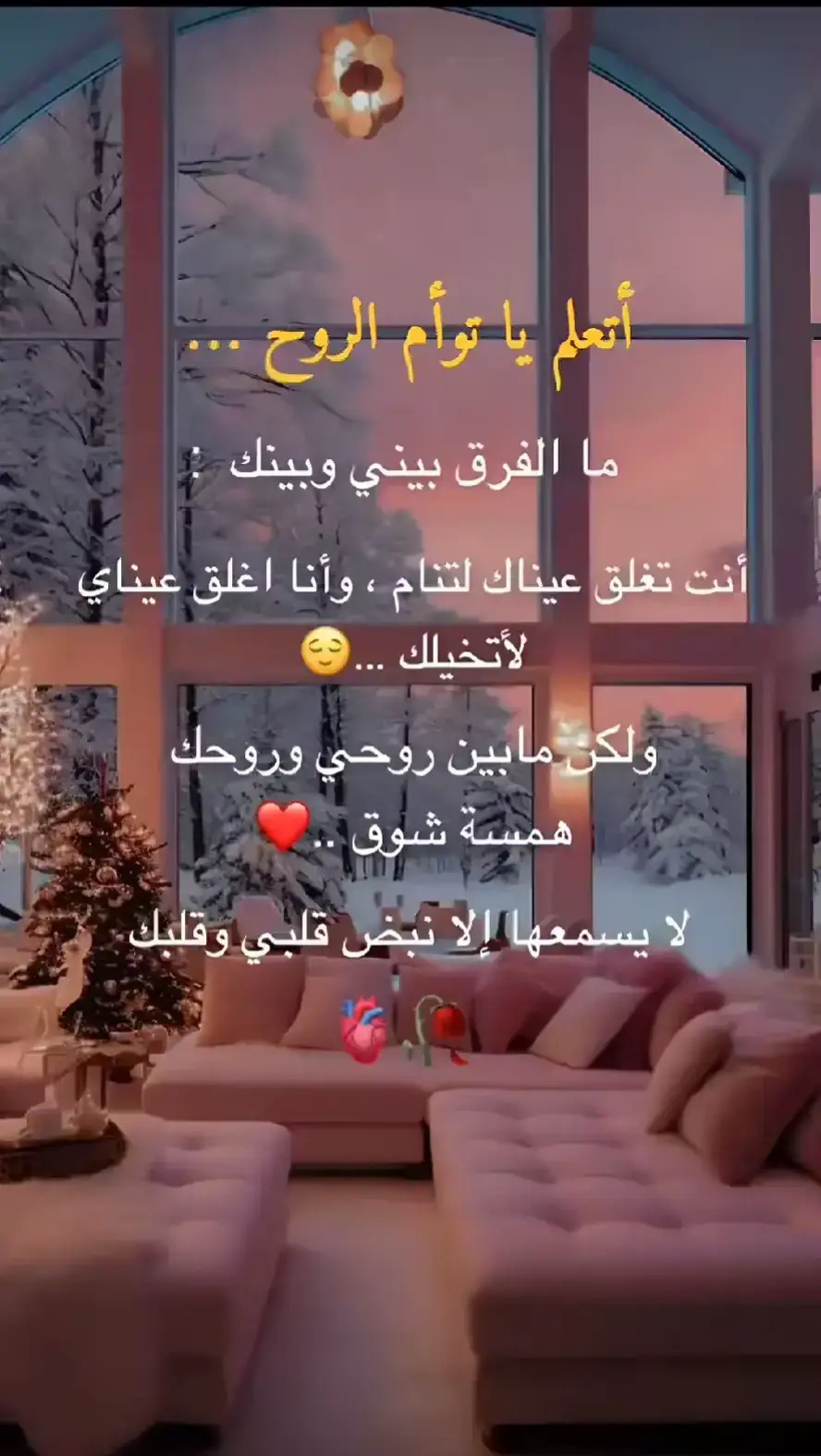 💞  ي روح الروح   💞