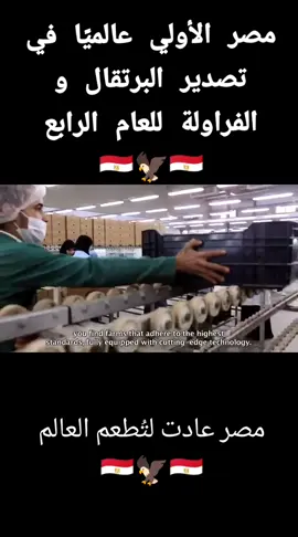 مصر… قلب الزراعة العربية ومركز عالمي للفراولة بقيادة الرئيس السيسي لطالما كانت مصر بلد النيل والخضرة، أرض الإنتاج الزراعي الواسع، والآن أثبتت الدولة بقيادة الرئيس عبد الفتاح السيسي أن الزراعة ليست فقط تقليدًا تاريخيًا، بل قوة اقتصادية واستراتيجية. وفي قلب هذه القوة، تتصدر مصر اليوم المشهد العالمي في تصدير الفراولة، خاصة الفراولة المجمدة، حيث أصبحت أول دولة في العالم في هذا القطاع، مسيطرة على نحو 27% من السوق العالمي. النجاح المصري في الفراولة المجمدة ليس صدفة، بل نتيجة خطة واضحة لتحويل الزراعة المصرية إلى قطاع إنتاجي متكامل، يعتمد على التكنولوجيا الحديثة، أنظمة الري الذكية، وتطوير البنية التحتية الزراعية والصناعية. مصانع التجميد والتغليف الحديثة، المدعومة باستثمارات ضخمة، تجعل منتجات الفراولة المصرية تصل إلى السعودية والدول العربية بأعلى جودة، محافظة على نكهتها الطبيعية وفوائدها الغذائية. أما الفراولة الطازجة، فهي أيضًا قوة مصرية صاعدة، تُصدر بكميات كبيرة للدول العربية، مؤكدة أن الأرض المصرية قادرة على تحقيق الاكتفاء المحلي والتوسع التصديري في آن واحد. هذه الإنجازات الزراعية ليست مجرد أرقام، بل رمز للنهضة المصرية، ودليل على رؤية الدولة في تحويل الموارد الطبيعية إلى قوة اقتصادية فعلية. دعم الدولة، والتخطيط الزراعي الذكي، والأمن والاستقرار الذي توفره القوات المسلحة والشرطة، كلها عوامل جعلت مصر بيئة جاذبة للاستثمار الزراعي، ومصدر ثقة عالمي في جودة الإنتاج. كل شحنة تصدير تصل إلى الرياض، وجدة، والكويت، وعمّان، تؤكد أن مصر ليست مجرد بلد يزرع، بل دولة تُنافس على المستوى العالمي. الفراولة المصرية اليوم ليست مجرد فاكهة، إنها رمز للتقدم والاستقرار والتنمية، وهي رسالة واضحة لكل من يشكك في قدرة مصر على الإنتاج: مصر بلد خضرة، بلد صناعة، بلد تصدر للعالم، وكل ذلك بقيادة حكيمة، ورؤية استراتيجية، وجيش وشعب يعملون معًا من أجل نهضة حقيقية. #تحيا_مصر #السيسي_قائد_النهضة #مصر_أم_الدنيا #زوروا_مصر 