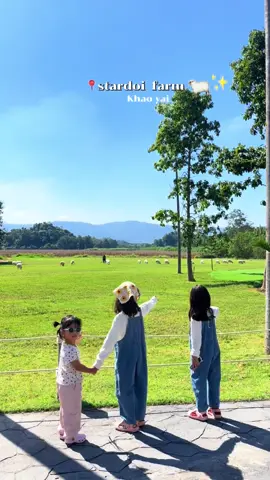 📍stardoi farm khaoyai 🐑💫 ฟาร์มแกะบนเขาใหญ่ ที่มีแกะหลายร้อยตัว และหลายสายพันธุ์ บรรยากาศดีมาก อากาศเย็นตลอดทั้งวัน เหมาะกับสายครอบครัวแบบเราสุด เด็กๆเอ็นจอย ชอบ น้องแกะน่ารัก🐑💕 อ้วนท้วม สะอาดมากๆ พี่ๆพนักงานก็น่ารัก  เปิด 🕦 8:00-18:00 น. ค่าเข้า💵  120.-               #เขาใหญ่#TikTokกินเที่ยว #stardoifarmkhaoyai #khaoyai #ฟาร์มแกะเขาใหญ่ 