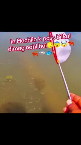 #janata nai ferna parni vayo🤣🤡 #fyp #goviral 