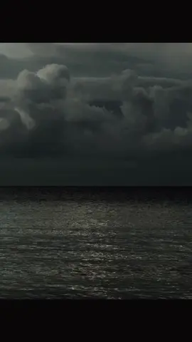 Birds of a Feather - Billie Eilish >> #birdsofafeather #billieeilish #lyrics #fyp #foryou 