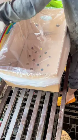 tình đời tay trắng 🤣#xuhuong #chuôixuatkhau #cogang 