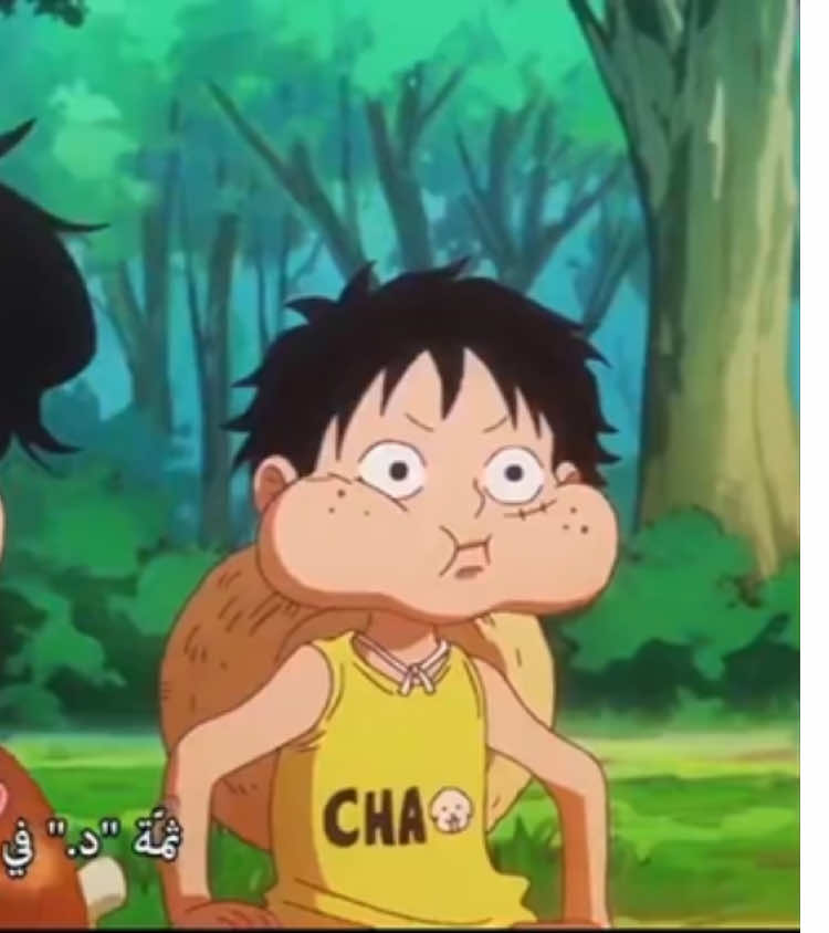 سا دي بو 😂  . . #one_piece #ونبيس #ون_بيس #لوفي #onepiece 