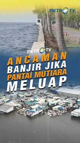 Ketinggian air laut yang naik dan permukaan tanah yang turun membuat ancaman banjir Jakarta kian nyata. Jika tanggul laut di wilayah Pantai Mutiara jebol, maka ada kekhawatiran banjir akan menggenang hingga kawasan pusat Kota Jakarta. #tiktokberita #beritaviral #fyp #viral #beritatiktok #jakarta #jakartautara #tanggul #tanggullaut #tangguljebol #pantaimutiara #laut