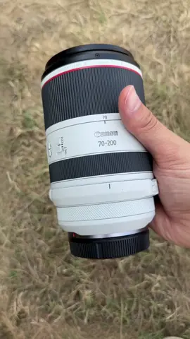 Cách tôi tiêu 50 triệu trong một nốt nhạc 🤫🤫🤫 #canon #rf70200 #rf70200f28lisusm 