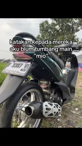 #5tlgank🚀 #miosad🥀