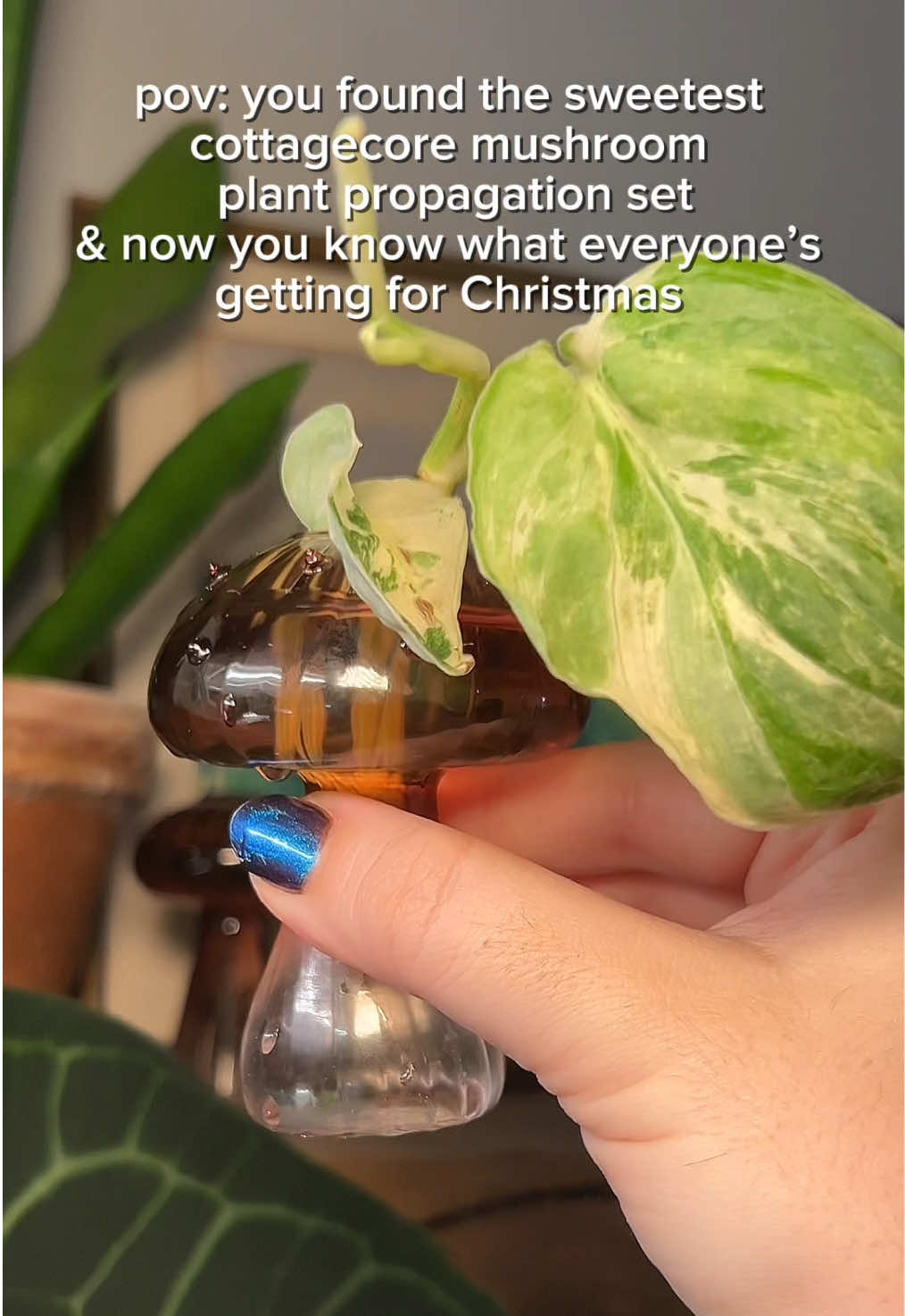pov: you found the sweetest cottagecore glass mushroom plant propagation set and now you know what everyone’s getting for Christmas So many secret Santa’s in my plant groups (they’re in the spending budget) and I’m obsessed with these. They were shipped so well, nothing was broken, and so lightweight! I kind of want the green set now too! #propagation #mushroom #cottagecore #plantgifts #giftideasforher 