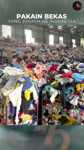 ⚠️BAHAYA! 😱 Ribuan Ton Pakaian Bekas Impor 'Menyerbu' Indonesia! 🇮🇩 Miris, guys! 😥 Di balik tren thrifting yang lagi hits, ada fakta mencengangkan. Video ini nunjukkin gimana pabrik raksasa di China mengolah jutaan pakaian bekas yang kemudian dikirim dalam bentuk bal-balan padat ke negara kita. Faktanya, sampai pertengahan tahun 2025 ini saja, tercatat sudah ada 1.800 ton pakaian bekas impor yang masuk ke Indonesia! Jumlah ini naik drastis dari tahun-tahun sebelumnya. Padahal, pemerintah sebenarnya sudah melarang impor pakaian bekas lho. Kenapa ini jadi masalah? 🤔 Ancaman bagi UMKM Lokal: Serbuan baju impor murah ini bikin produk konveksi dalam negeri jadi kalah saing, bahkan banyak yang sampai gulung tikar. Risiko Kesehatan: Kita nggak pernah tahu riwayat pakaian bekas itu, bisa jadi ada jamur atau bakteri berbahaya yang menempel. Masalah Lingkungan: Banyak dari pakaian bekas ini akhirnya malah jadi tumpukan sampah tekstil yang sulit terurai di negara kita. Pemerintah berjanji akan menindak tegas para pelaku impor ilegal ini dengan sanksi berat, mulai dari denda, penjara, sampai larangan impor seumur hidup. Yuk, lebih bijak lagi dalam memilih pakaian! Dengan mencintai dan membeli produk lokal, kita ikut membantu perekonomian negara dan menjaga para pengrajin serta UMKM kita tetap berkarya. ❤️🇮🇩 Gimana pendapat kalian, guys? Tim thrifting atau tim produk lokal? Diskusi di kolom komentar yuk! 👇 #Thrifting #PakaianBekas #ImporIlegal #AncamanUMKM #ProdukLokal   