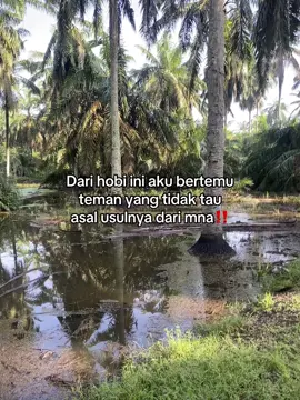 #mancing #castingfishing🎣 #mancingmaniamantap🐟🎣 